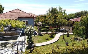 Villa Viktoria Halkidiki