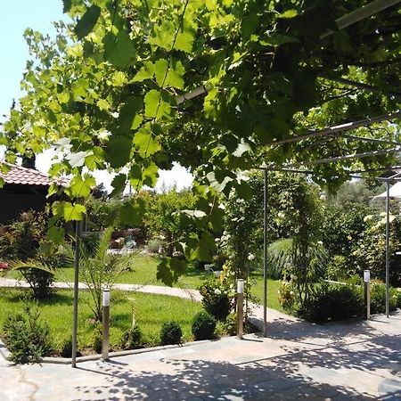 Villa Viktoria Halkidiki Nea Silata Екстериор снимка
