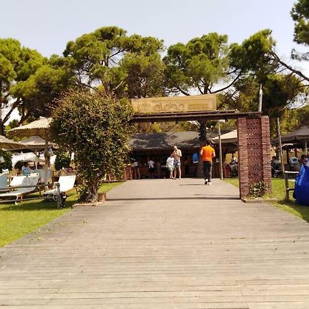 Villa Viktoria Halkidiki Nea Silata Екстериор снимка