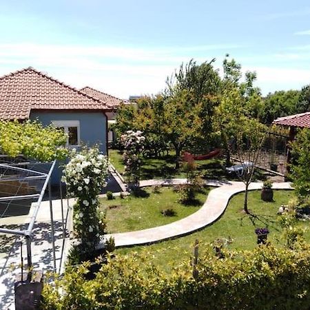 Villa Viktoria Halkidiki Nea Silata Екстериор снимка