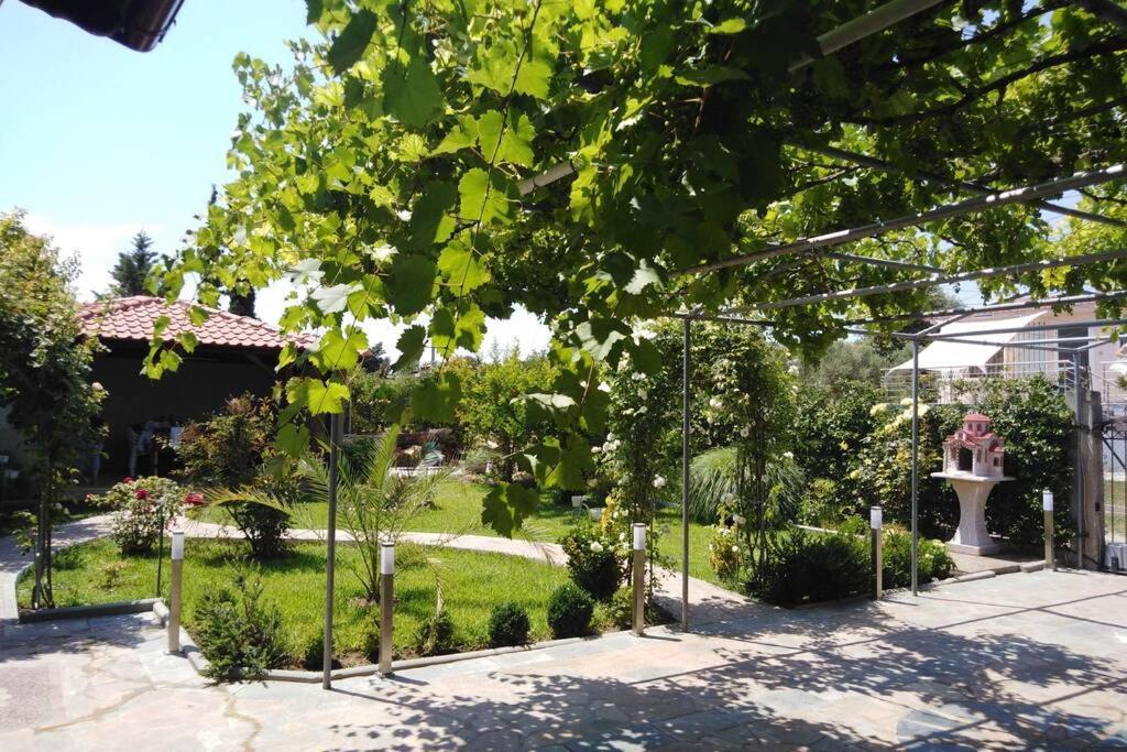 Villa Viktoria Halkidiki Nea Silata Екстериор снимка