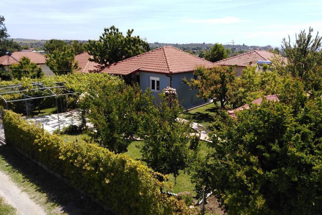 Villa Viktoria Halkidiki Nea Silata Екстериор снимка