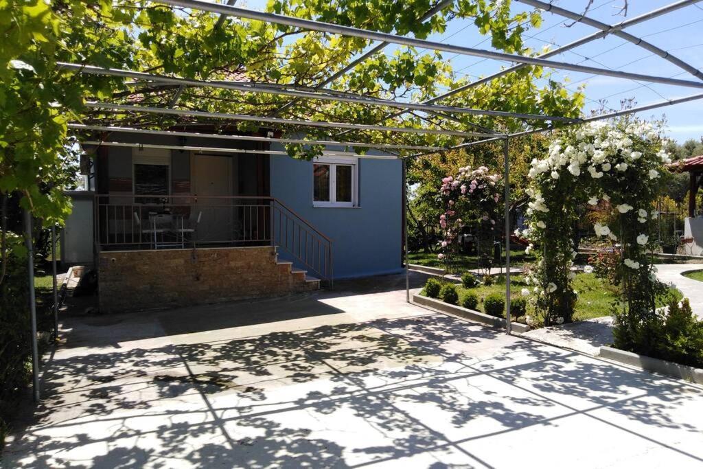 Villa Viktoria Halkidiki Nea Silata Екстериор снимка