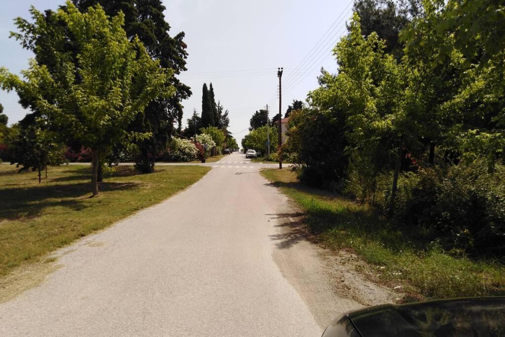 Villa Viktoria Halkidiki Nea Silata Екстериор снимка