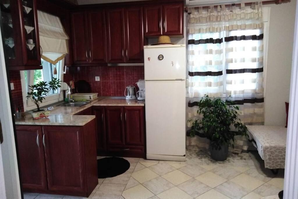 Villa Viktoria Halkidiki Nea Silata Екстериор снимка