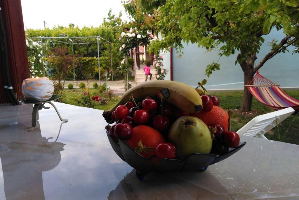 Villa Viktoria Halkidiki Nea Silata Екстериор снимка
