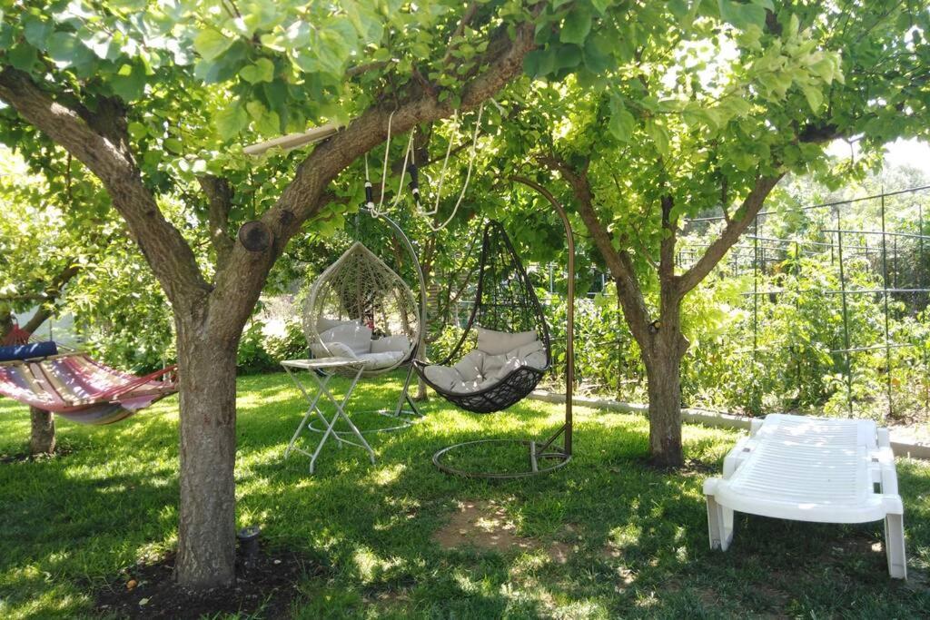 Villa Viktoria Halkidiki Nea Silata Екстериор снимка