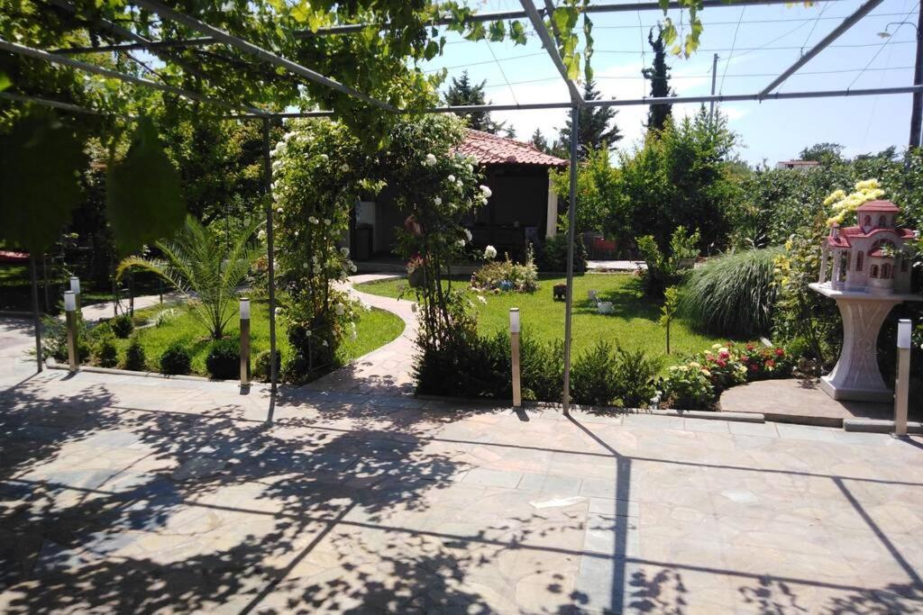 Villa Viktoria Halkidiki Nea Silata Екстериор снимка