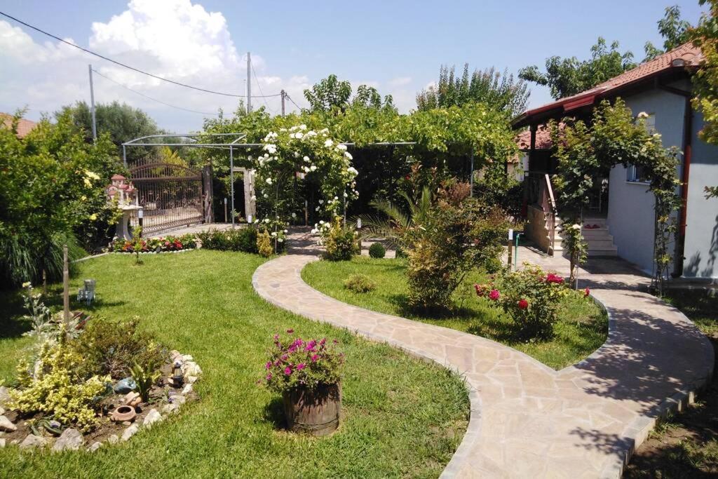 Villa Viktoria Halkidiki Nea Silata Екстериор снимка