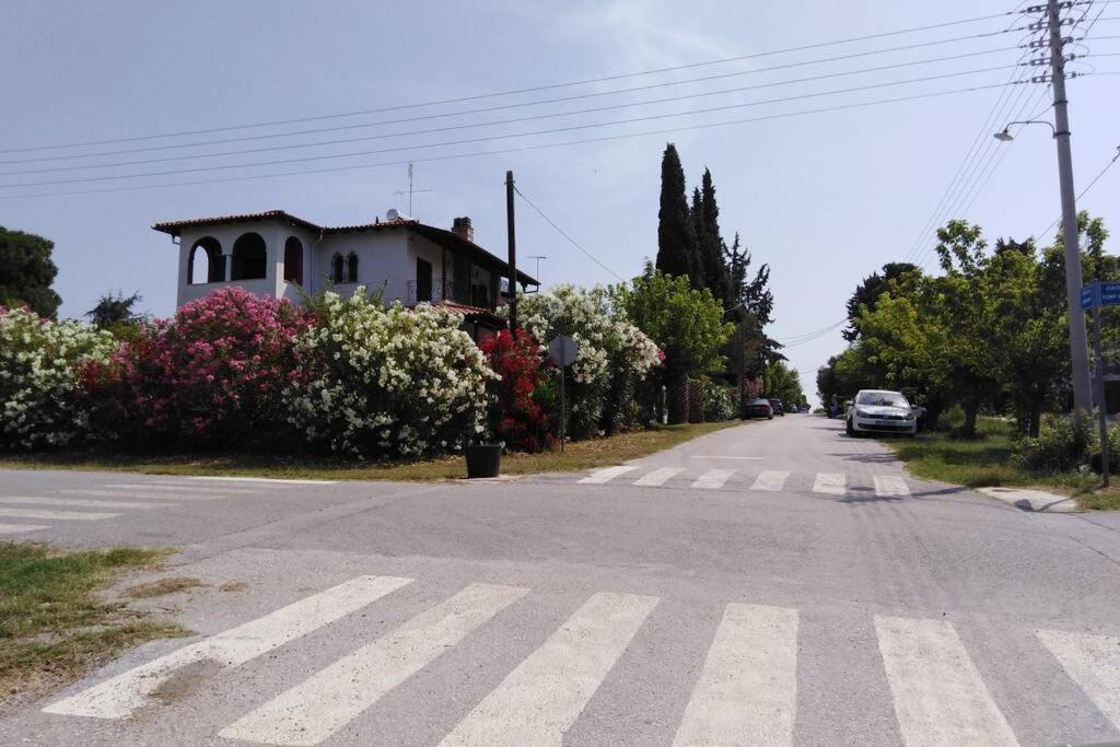 Villa Viktoria Halkidiki Nea Silata Екстериор снимка