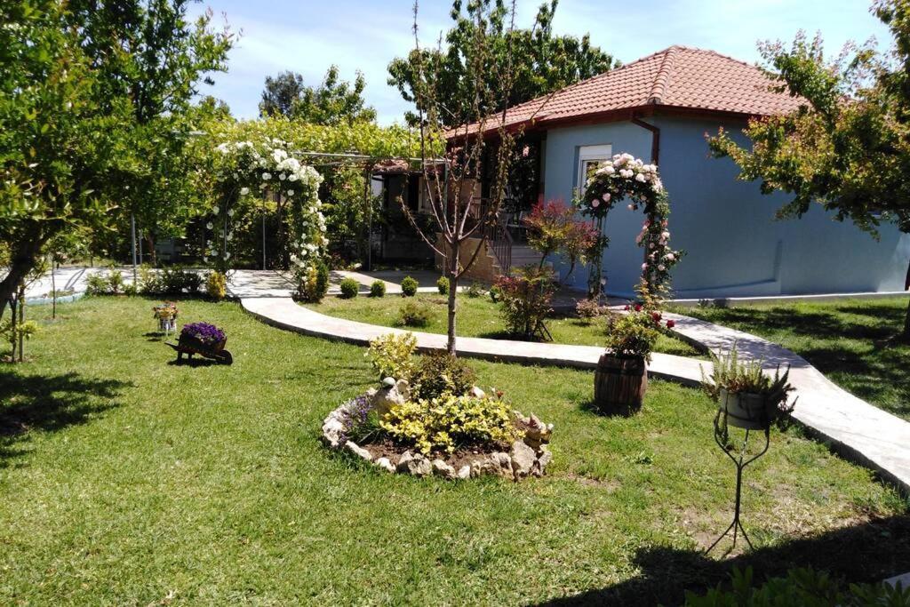 Villa Viktoria Halkidiki Nea Silata Екстериор снимка