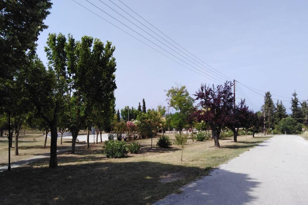 Villa Viktoria Halkidiki Nea Silata Екстериор снимка