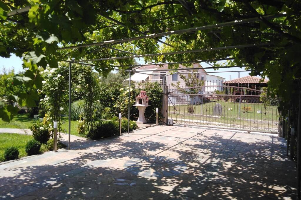 Villa Viktoria Halkidiki Nea Silata Екстериор снимка
