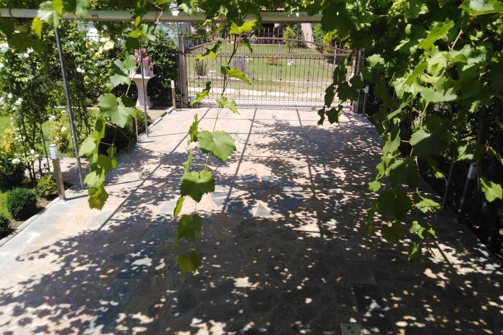 Villa Viktoria Halkidiki Nea Silata Екстериор снимка